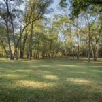 Blue Ribbon Trout Cabin - Yard