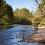 Blue Ribbon Trout Cabin - Current River Access