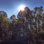 Blue Ribbon Trout Cabin - Skyline