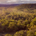 Blue Ribbon Trout Cabin - Surrounding Area