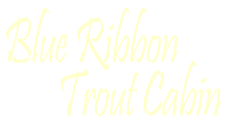 Blue Ribbon Trout Cabin - Trophy Trout Destination