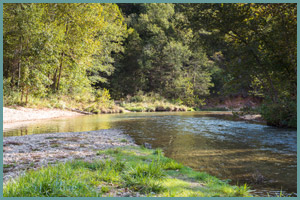 Blue Ribbon Trout Cabin - On the Current River